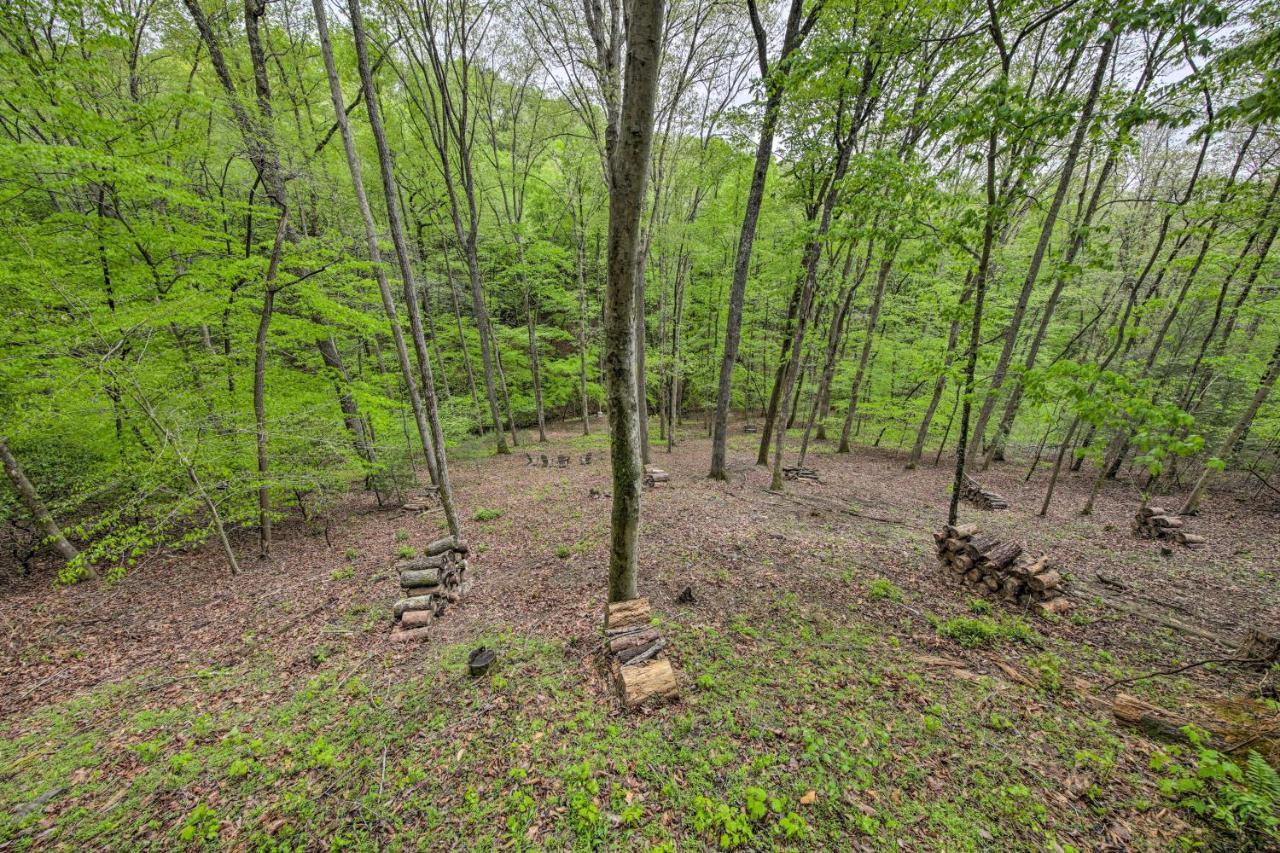Peaceful Blue Ridge Cabin With Decks And Fire Pit Exteriör bild